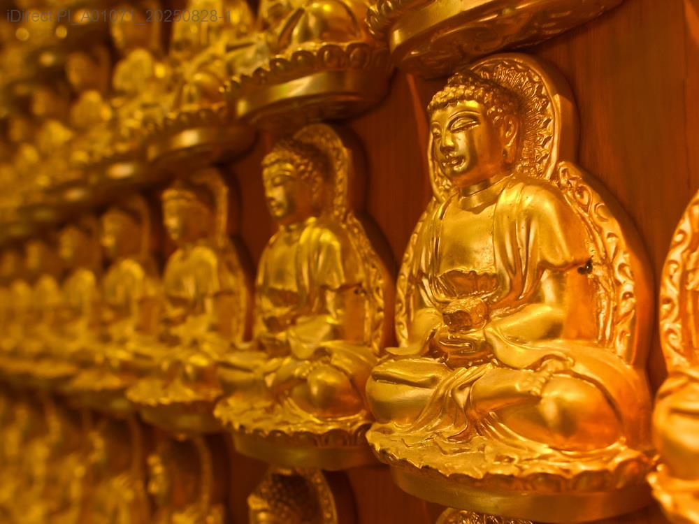 2025年全面解析：12生肖運勢大預測，掌握幸運關鍵！